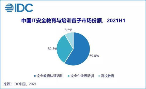IDC報告揭示 2021上半年中國網絡安全服務市場迎爆發，網絡與信息安全軟件開發成核心引擎